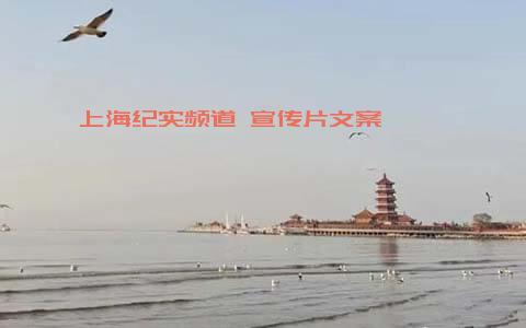 上海纪实频道 宣传片文案 ：“普通人 时代前行的真正动力”